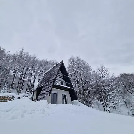 Weekend House Nest