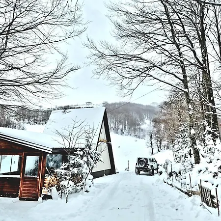 Weekend House Nest *