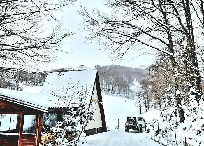 Weekend House Nest *